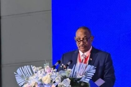 وزير الطاقة يبشر بتوسعة التعاون مع الصين في مجال البترول